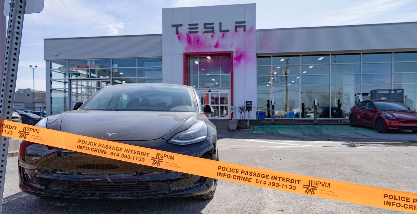Trump: Teslavandaler bör få fängelse i El Salvador