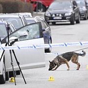 Mannen sköts i Södertälje.