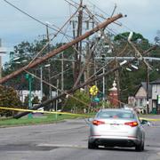 Nedfallna träd i Metairie, Louisiana. 