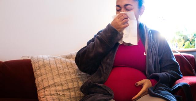 Gravid kvinna med förkylning. Illustrationsbild Isabell Höjman/TT
