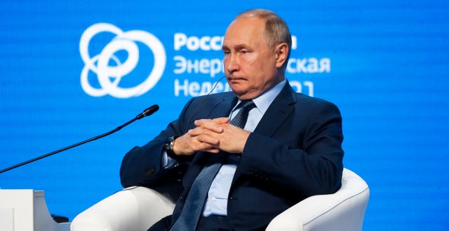 Putin vid ett klimat- och energiforum i Moskva. Sergei Ilnitsky / TT NYHETSBYRÅN