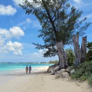 Strand på Caymanöarna/Arkivbild