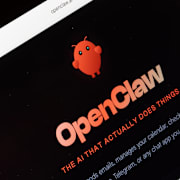 Open Claw