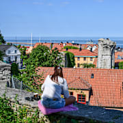 Visby i sommarskrud. 