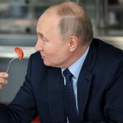 Arkivbild på Vladimir Putin. 