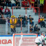 Publik under en SHL-match mellan Luleå och Örebro.