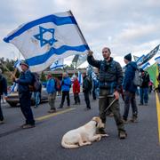 Protester i februari.  Ohad Zwigenberg / AP