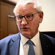 Carl Bildt.