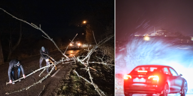 Nedfallna träd i Skåne på måndagsmorgonen/Storm i Trondheim på söndagskvällen. TT