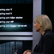 Magdalena Andersson intervjuades om de röda linjerna inom oppositionen i SVT:s Agenda. 