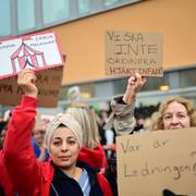 Journalsystemet medförde stora protester. 