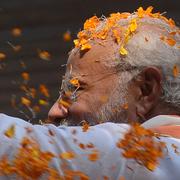 Narendra Modi i ett regn av blomdblad.