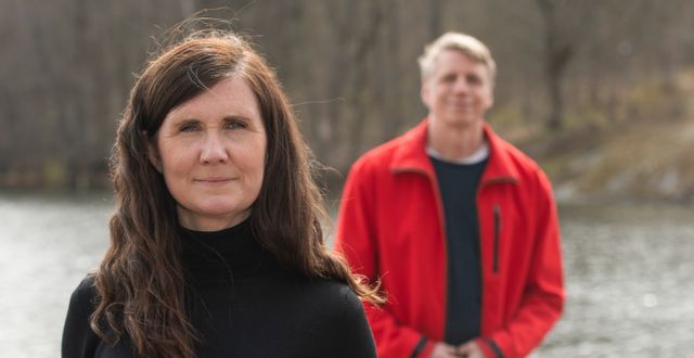 Miljöpartiets språkrör Märta Stenevi och Per Bolund. Carl-Olof Zimmerman/TT / TT NYHETSBYRÅN