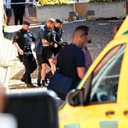 Polis griper Theodor Engström i Visby förra året.