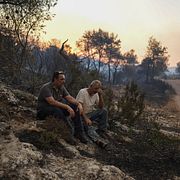 Giorgos Barberakis sitter intill sitt skeppsvarv som förstörts i en av skogsbränderna i Grekland. Petros Giannakouris / AP