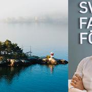Liza Nyberg, vd på Svensk Fastighetsförmedling. 