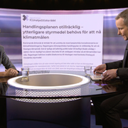 Romina Pourmokhtari intervjuas av Anders Holmberg i SVT:s 30 minuter.