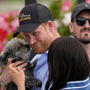 Prince Harry och pudeln Tommy, med Meghan Markle vid sidan.