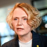 Centerpartiets Anna-Karin Hatt.