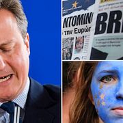 David Cameron.