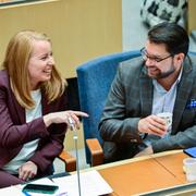 Annie Lööf och Jimmie Åkesson kom sällan överens i debatter.