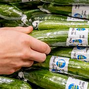 Svensk gurka. Arkivbild.