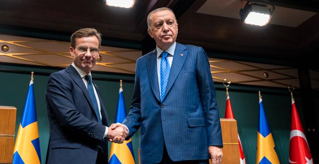 Kristersson och Turkiets president Erdogan vid tidigare möte i Ankara.  Henrik Montgomery/TT