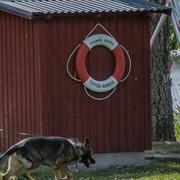 Polisen undersöker platsen där kvinnan hittades.