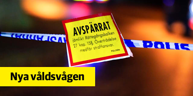 Våld i hemmet statistik