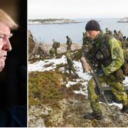 Donald Trump/svensk försvarsövning.