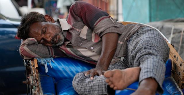 En man i Indien tar igen sig i värmen. Rajesh Kumar Singh / AP