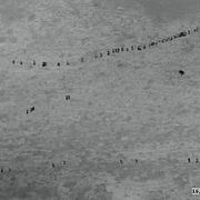 Helikopterbild av migranterna på väg mot gränsen.