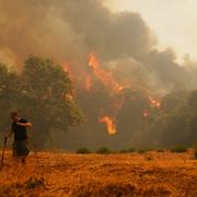 Skogsbrand i östra Grekland under onsdagen.