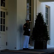 Vita huset i Washington DC.