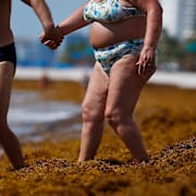 Strand i Florida översållad av alger den 11 juli 2018. 