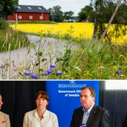 Ardalan Shekarabi (S), Åsa Romson (MP), Stefan Löfven (S) och Gustav Fridolin (MP)