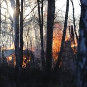 Tre personer omkom i en villabrand i Fåglavik i Herrljunga kommun natten till måndagen. 