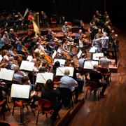 Konsert i Berwaldhallen.