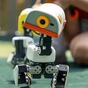 Ankroboten är 25 centimeter hög.