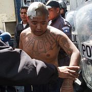 En polis muddrar en medlem i Barrio-18 efter fängelseupproret utanför Guatemala City.