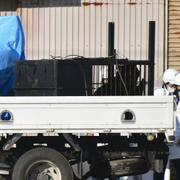 Tre björnar som tagits till fånga i Akita hösten 2023.