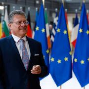 EU ska bland annat betala 15-procentiga tullar på export till USA.