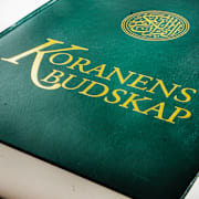 Illustrationsbilder.