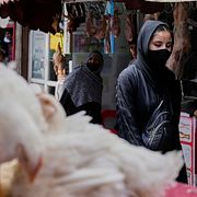 En kvinna på en marknad i Kabul, Afghanistan den 5 juni 2025.