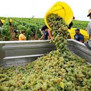 Grundvattenreserver är viktiga för bland annat jordbruket.