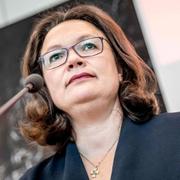 Andrea Nahles (arkivbild)