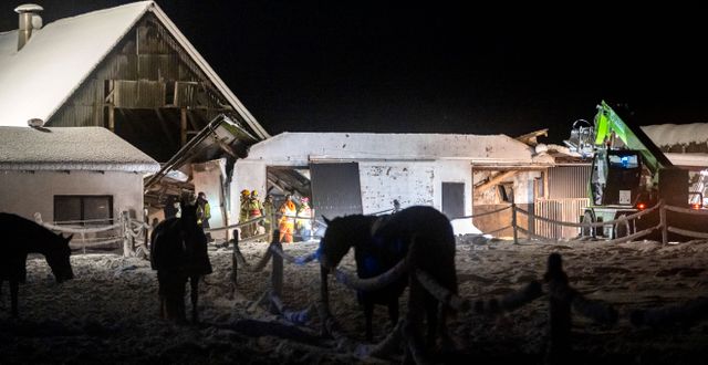 Räddningstjänsten på plats i Gladsax utanför Simrishamn efter att ett tak på ett stall rasat in i det ymniga snöfallet på måndagen. Johan Nilsson/TT