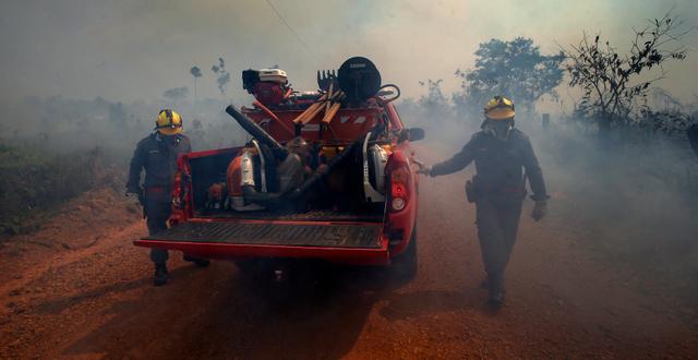 Brandmän i Amazonas Edmar Barros / AP