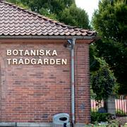Arkivbild på  Botaniska trädgården i Göteborg.