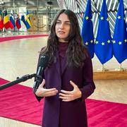 Klimat- och miljöminister Romina Pourmokhtari.